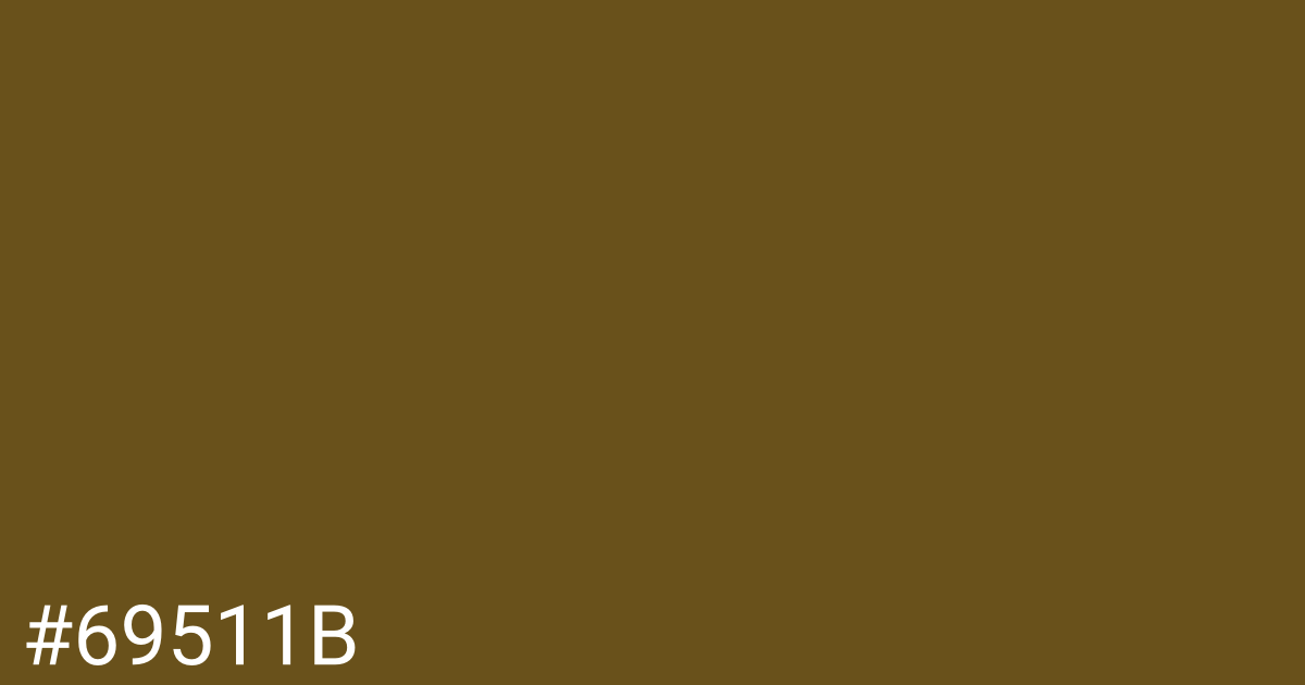 Hex color #69511b graphic