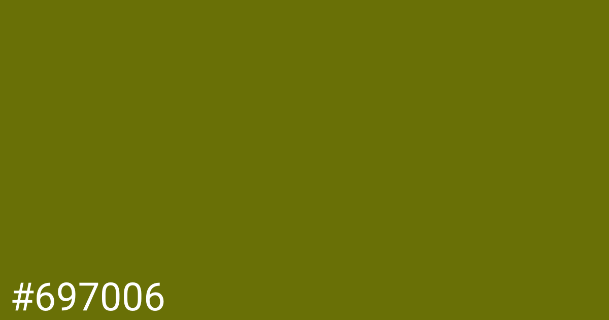 Hex color #697006 graphic