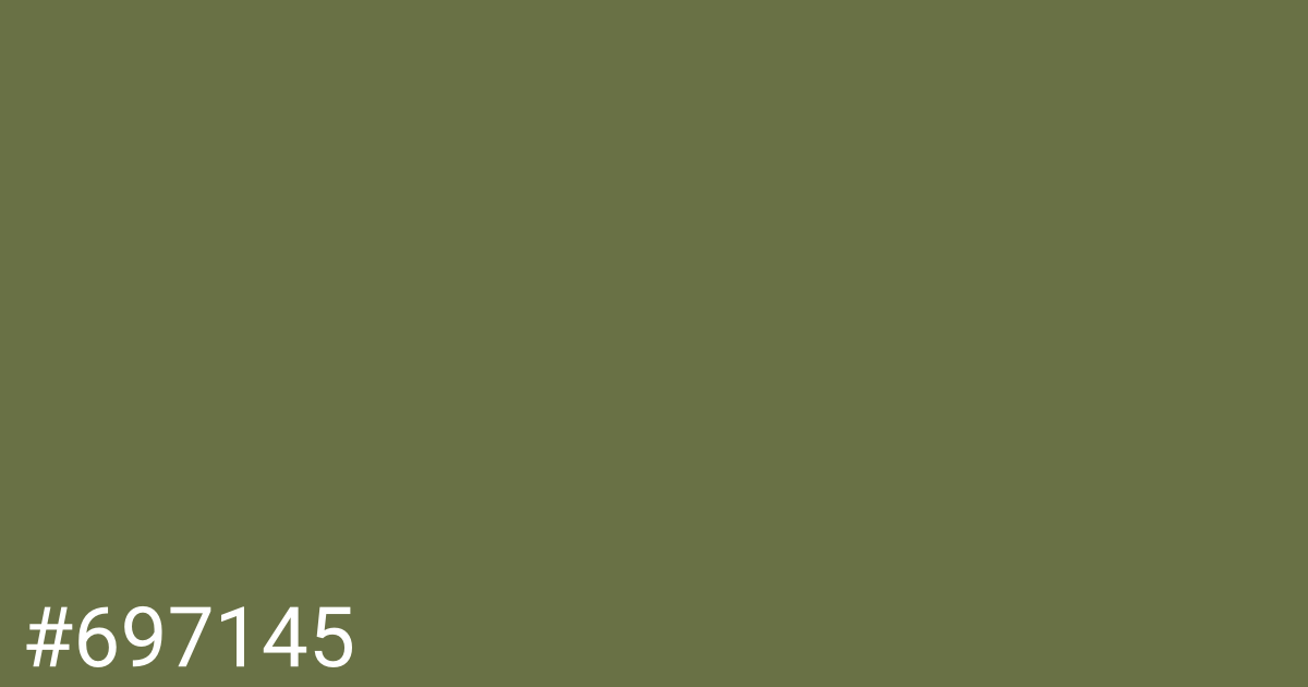 Hex color #697145 graphic