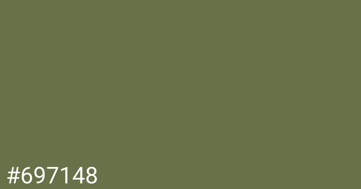 Hex color #697148 graphic