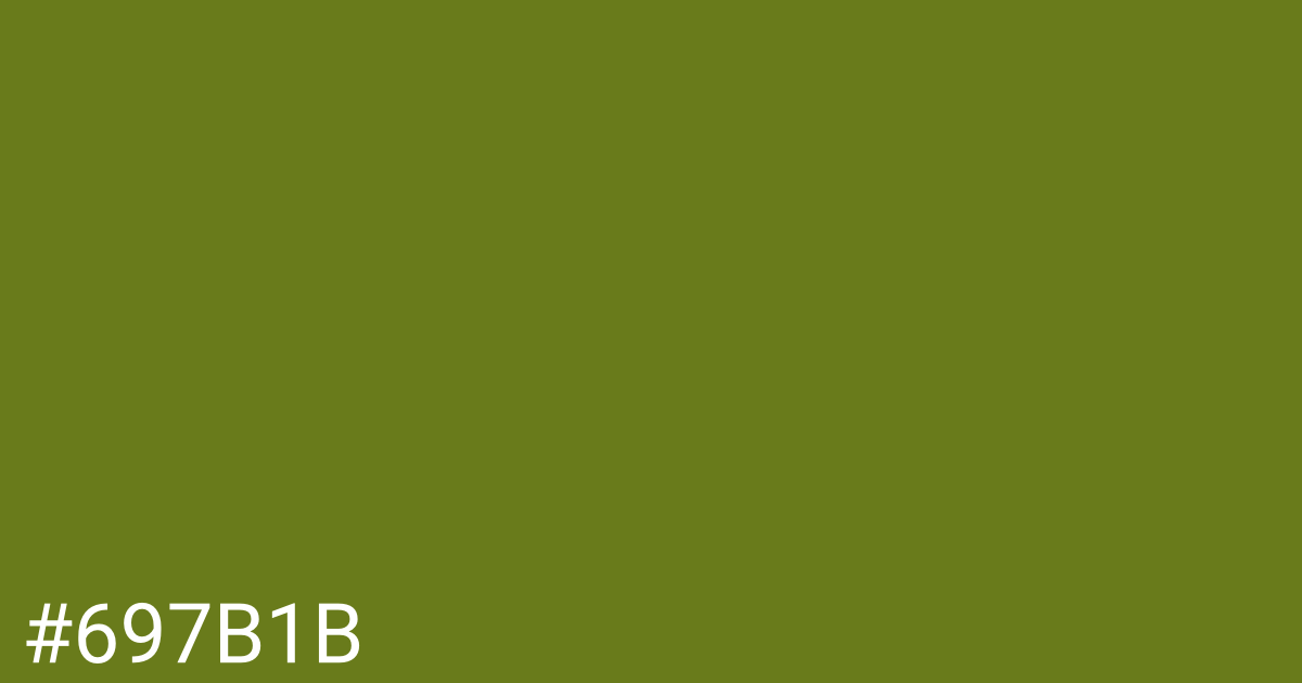 Hex color #697b1b graphic