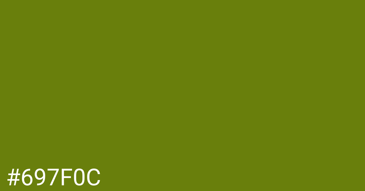 Hex color #697f0c graphic