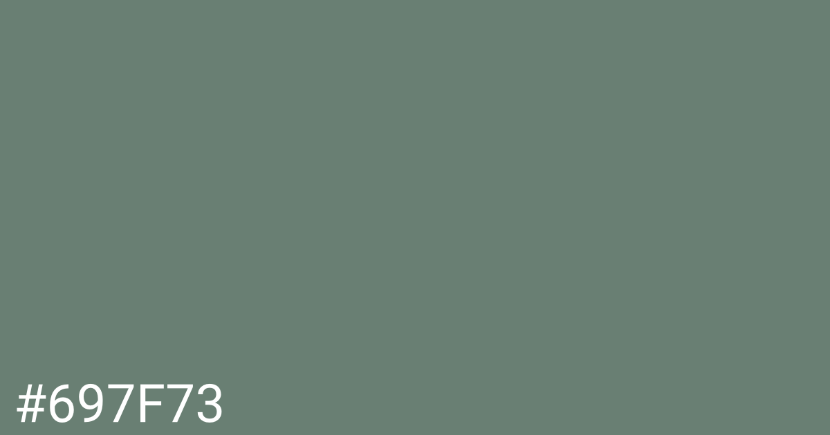 Hex color #697f73 graphic