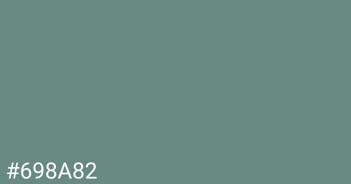 Hex color #698a82 graphic