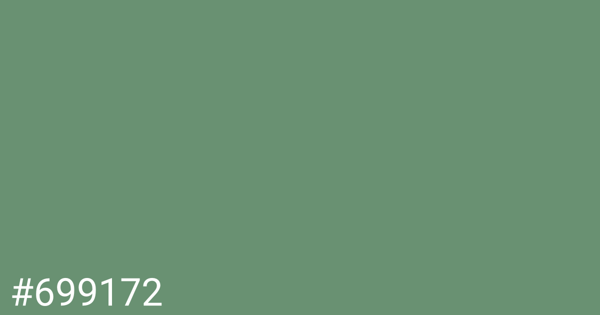 Hex color #699172 graphic