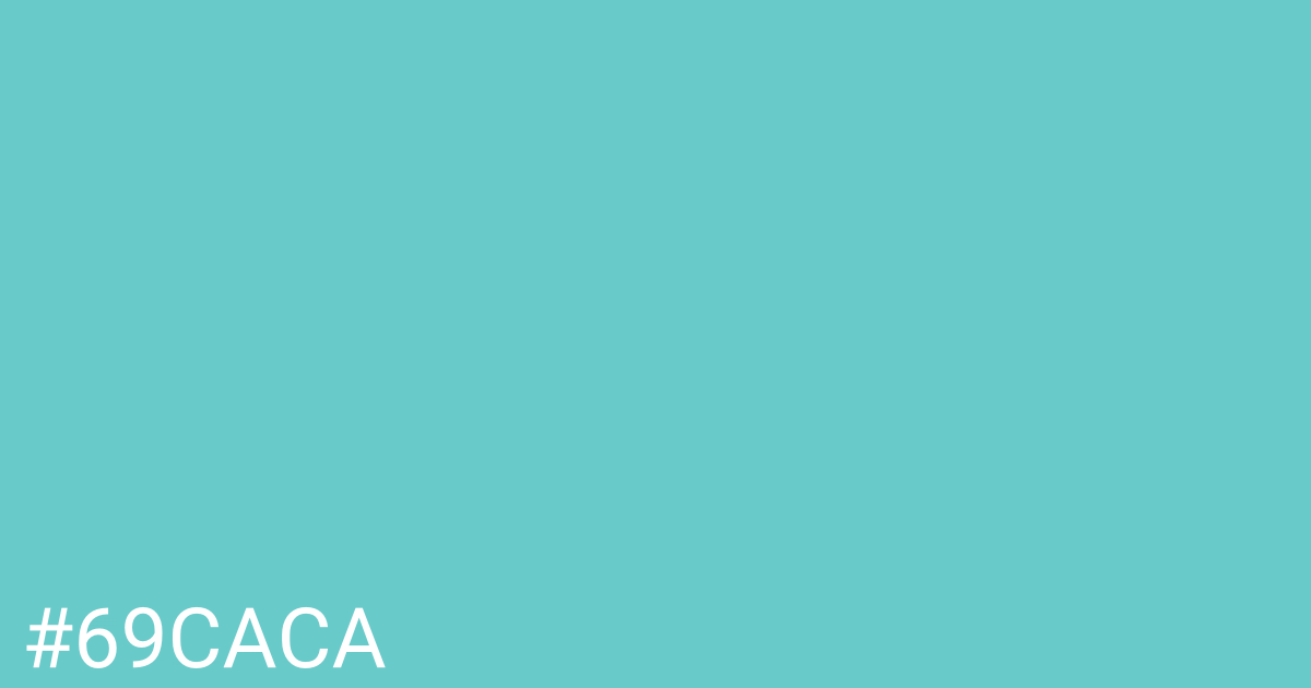 Hex color #69caca graphic