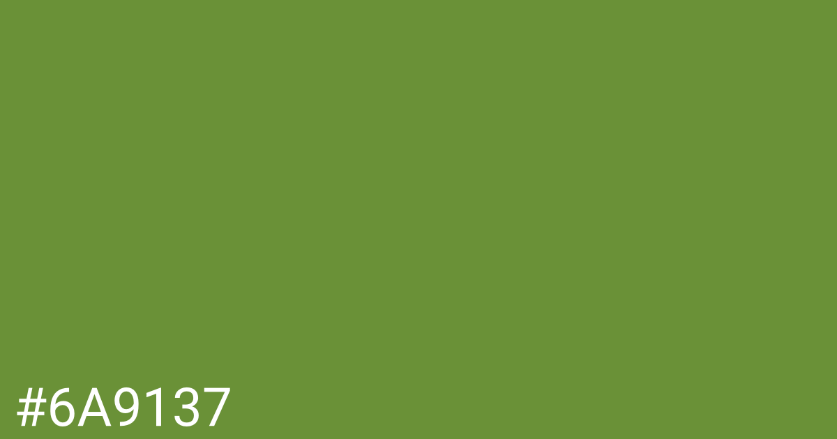 Hex color #6a9137 graphic