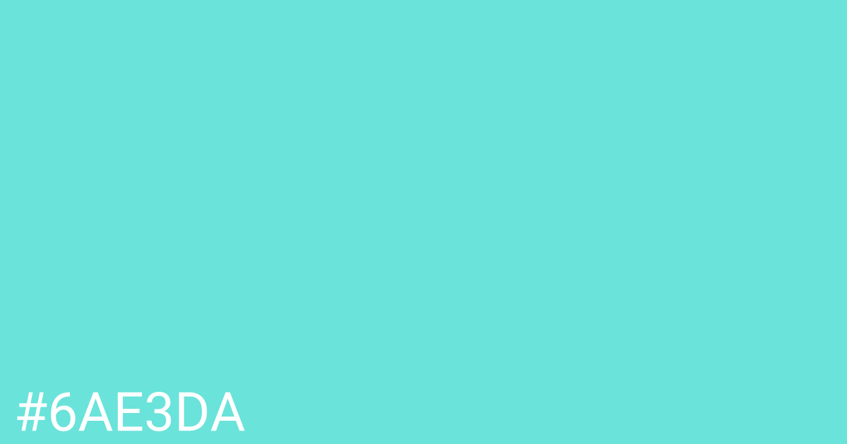 Hex color #6ae3da graphic