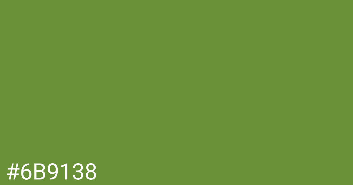 Hex color #6b9138 graphic