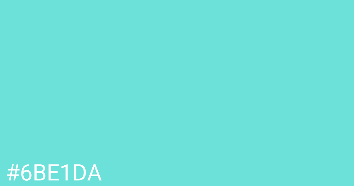 Hex color #6be1da graphic