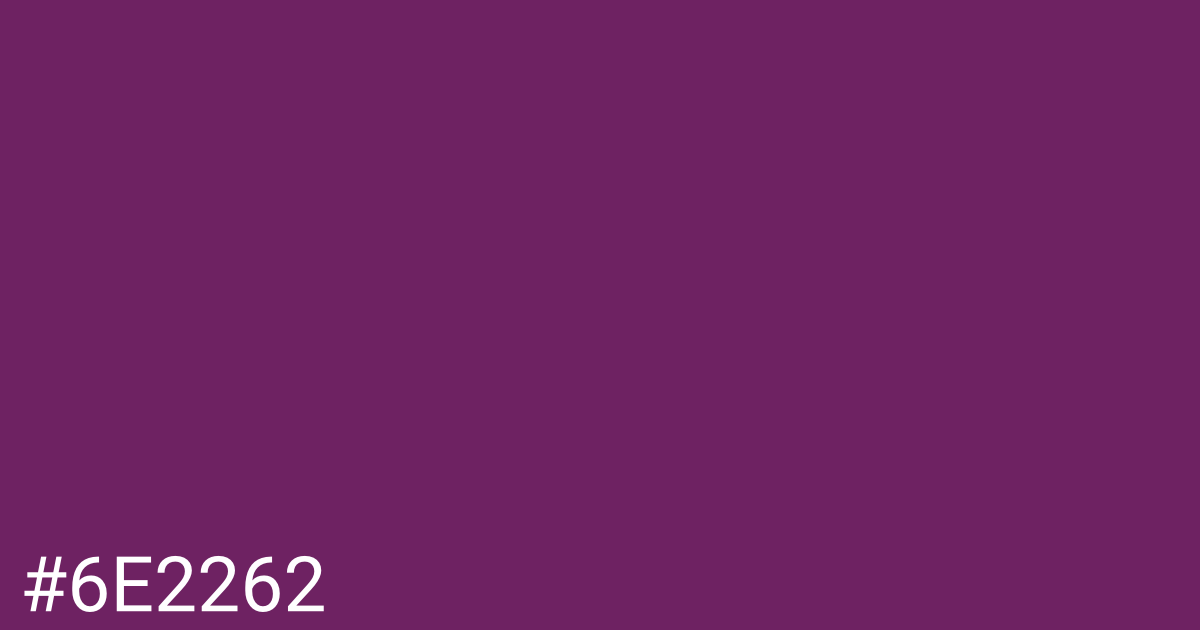 Hex color #6e2262 graphic