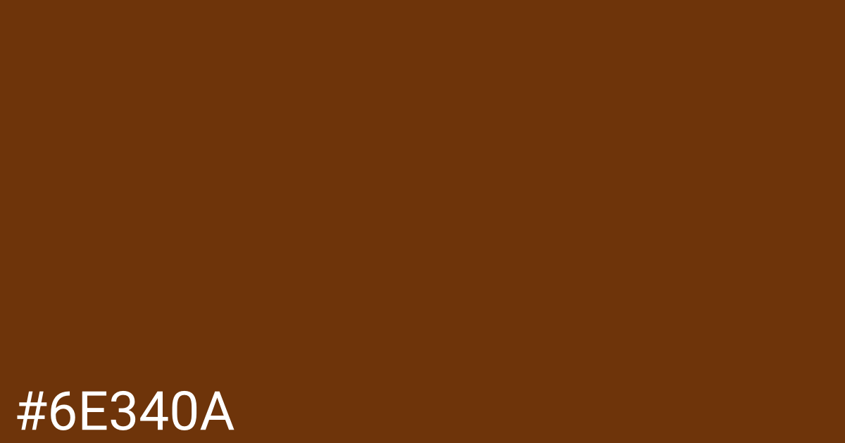 Hex color #6e340a graphic
