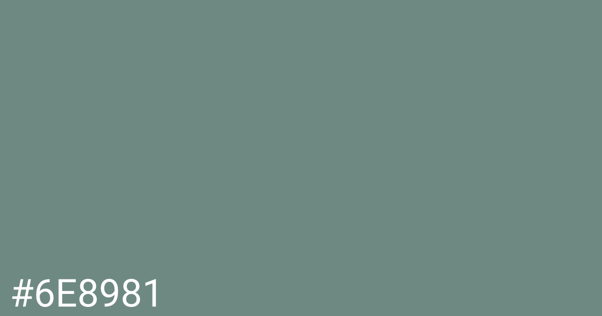 Hex color #6e8981 graphic