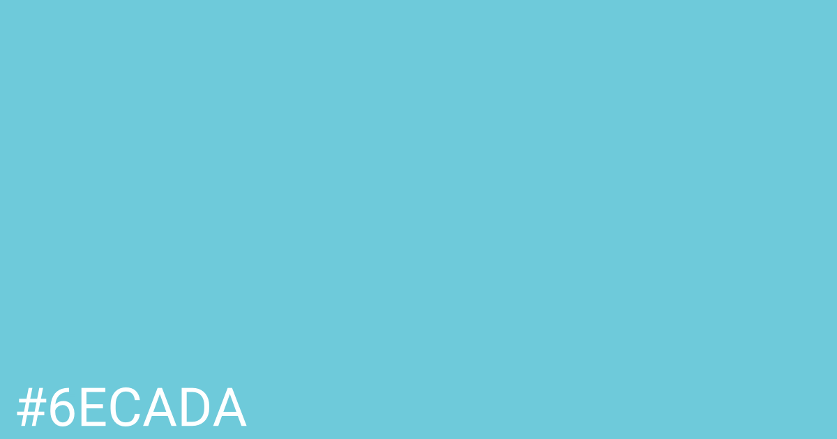 Hex color #6ecada graphic