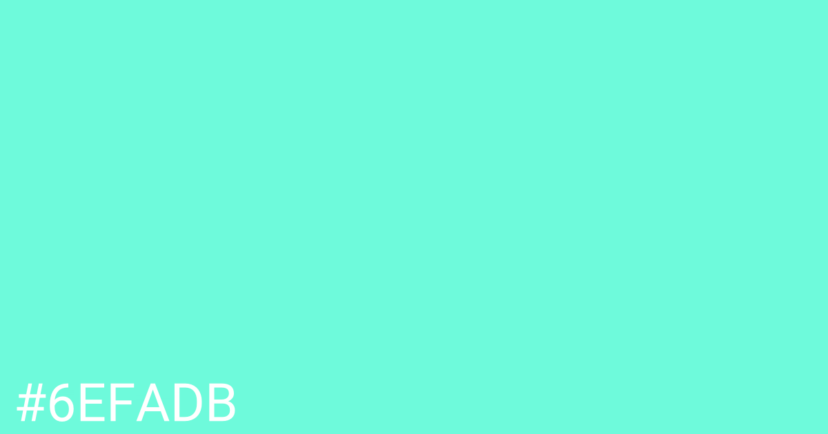 Hex color #6efadb graphic