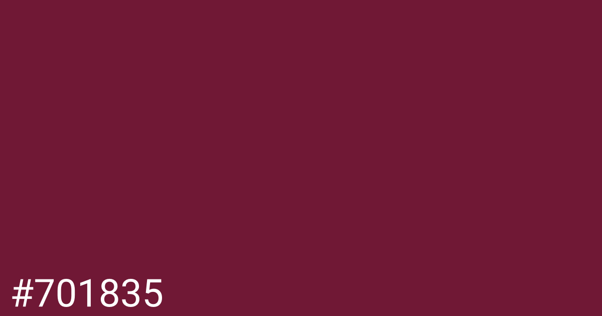 Hex color #701835 graphic