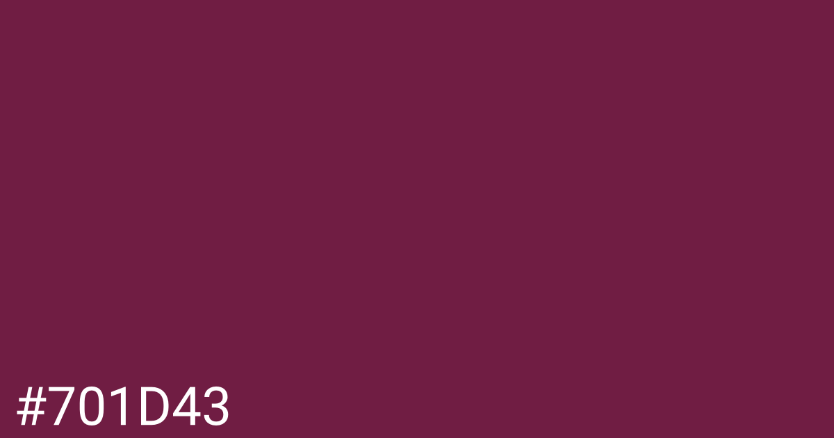 Hex color #701d43 graphic