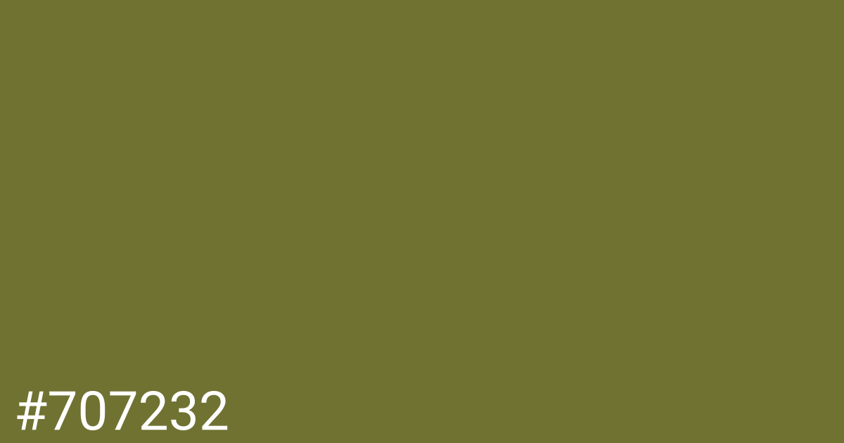 Hex color #707232 graphic