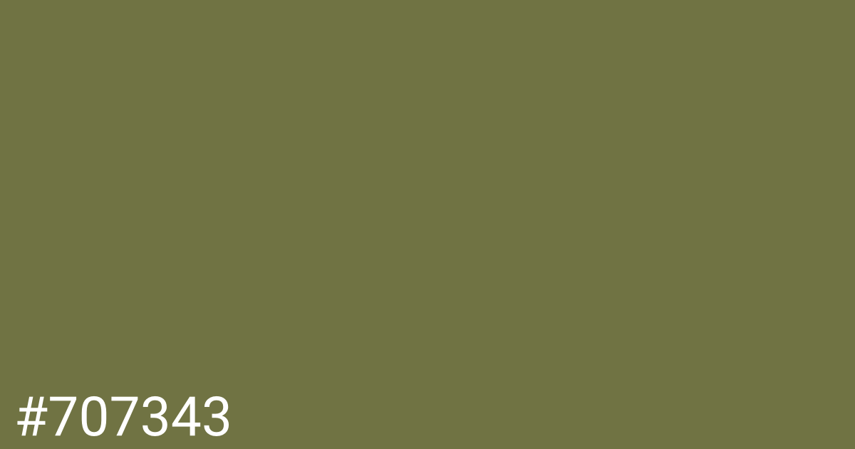 Hex color #707343 graphic