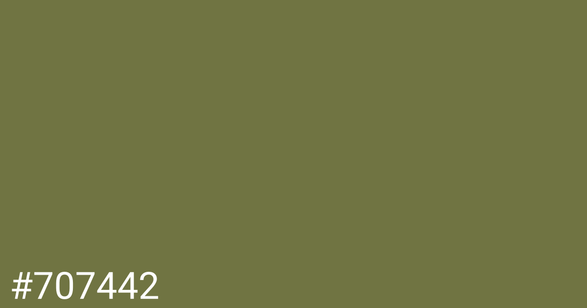 Hex color #707442 graphic