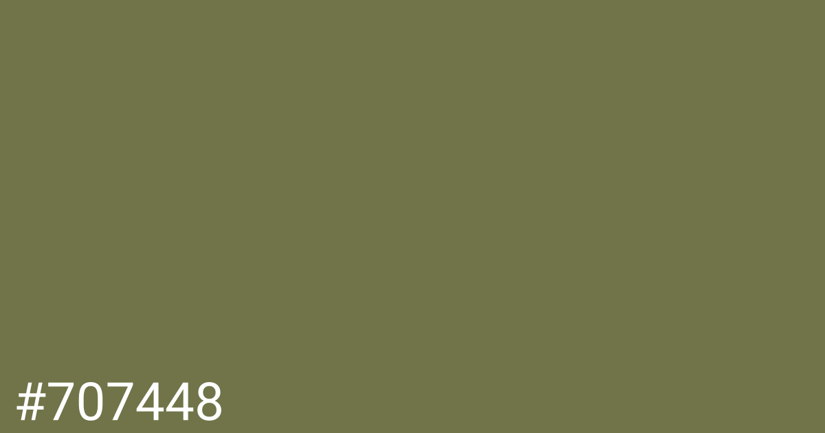 Hex color #707448 graphic