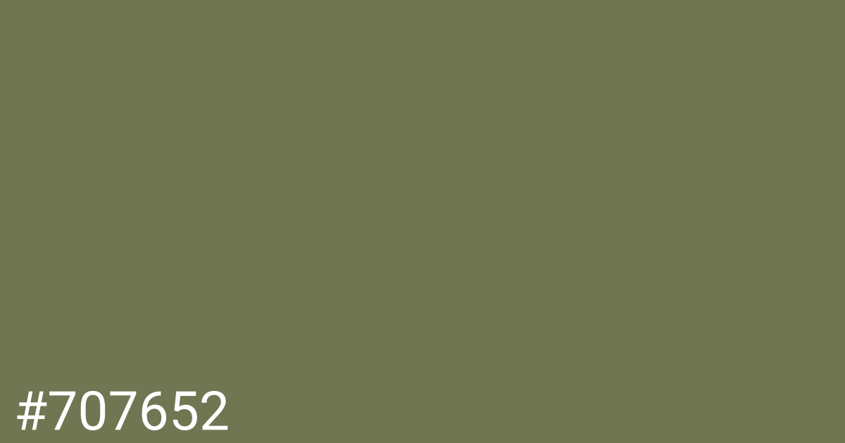 Hex color #707652 graphic