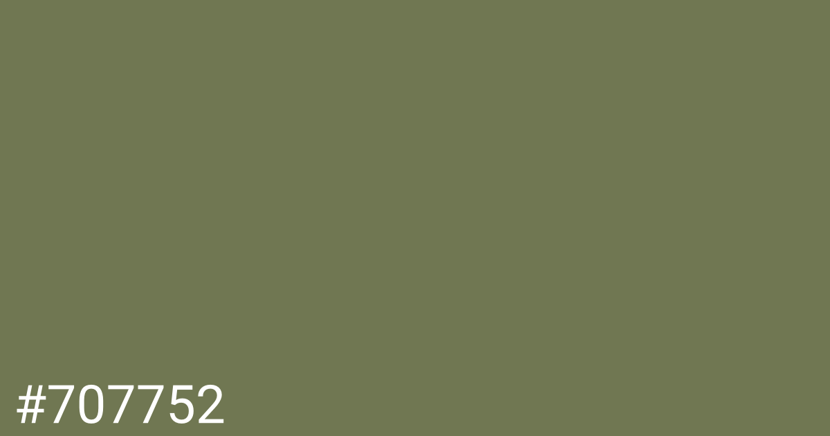 Hex color #707752 graphic