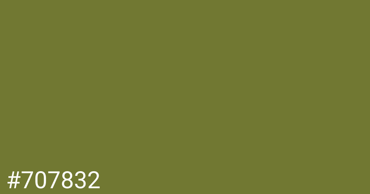 Hex color #707832 graphic