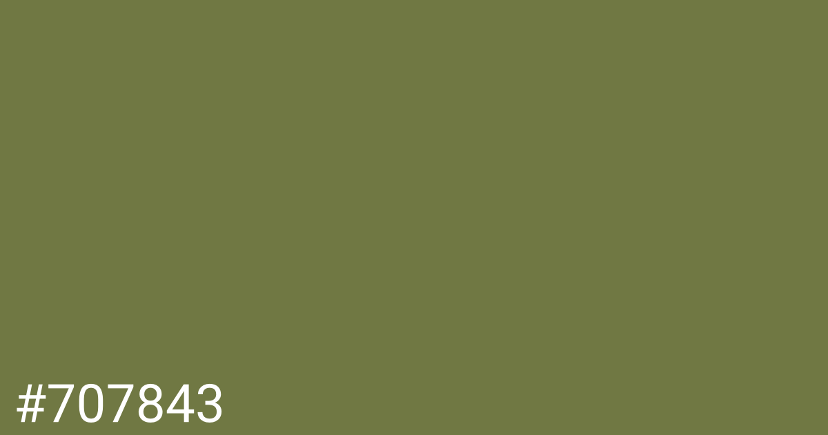 Hex color #707843 graphic