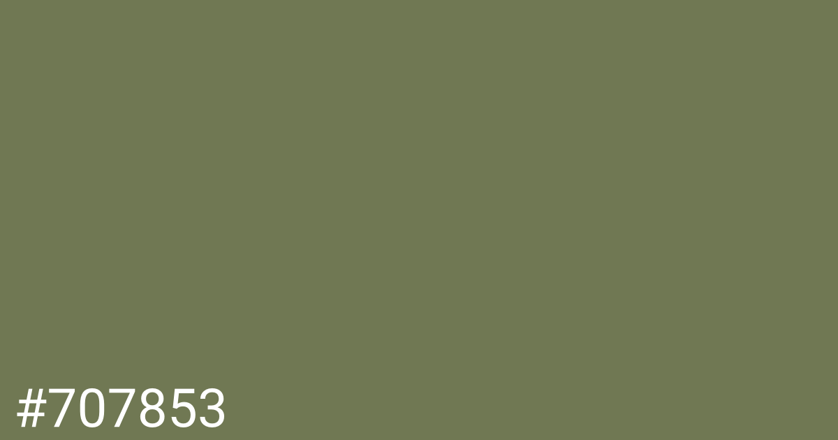 Hex color #707853 graphic