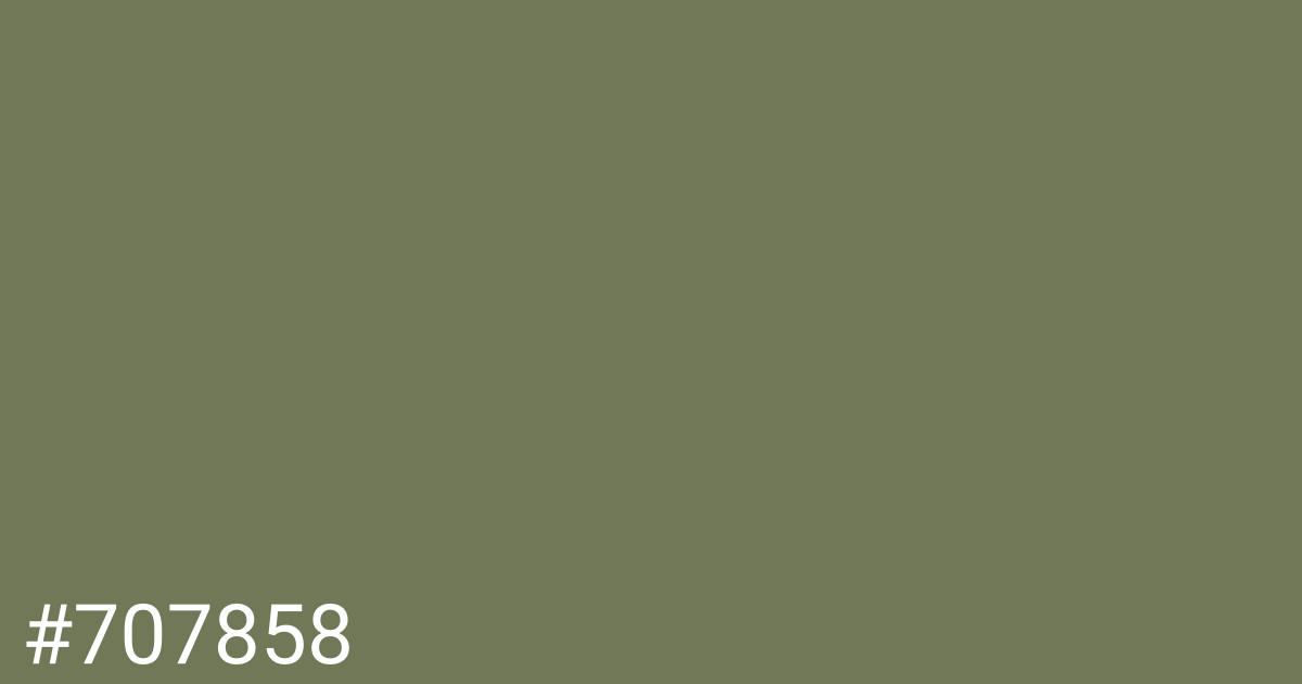 Hex color #707858 graphic