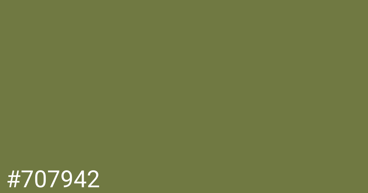 Hex color #707942 graphic