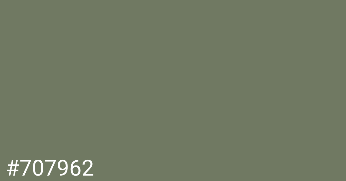 Hex color #707962 graphic