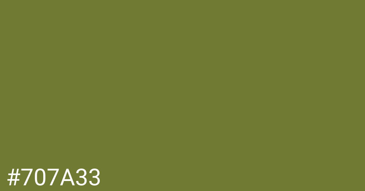 Hex color #707a33 graphic