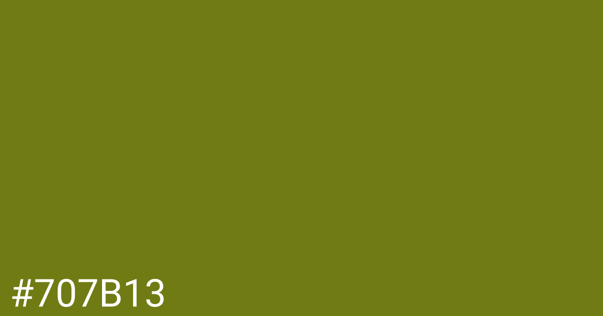 Hex color #707b13 graphic