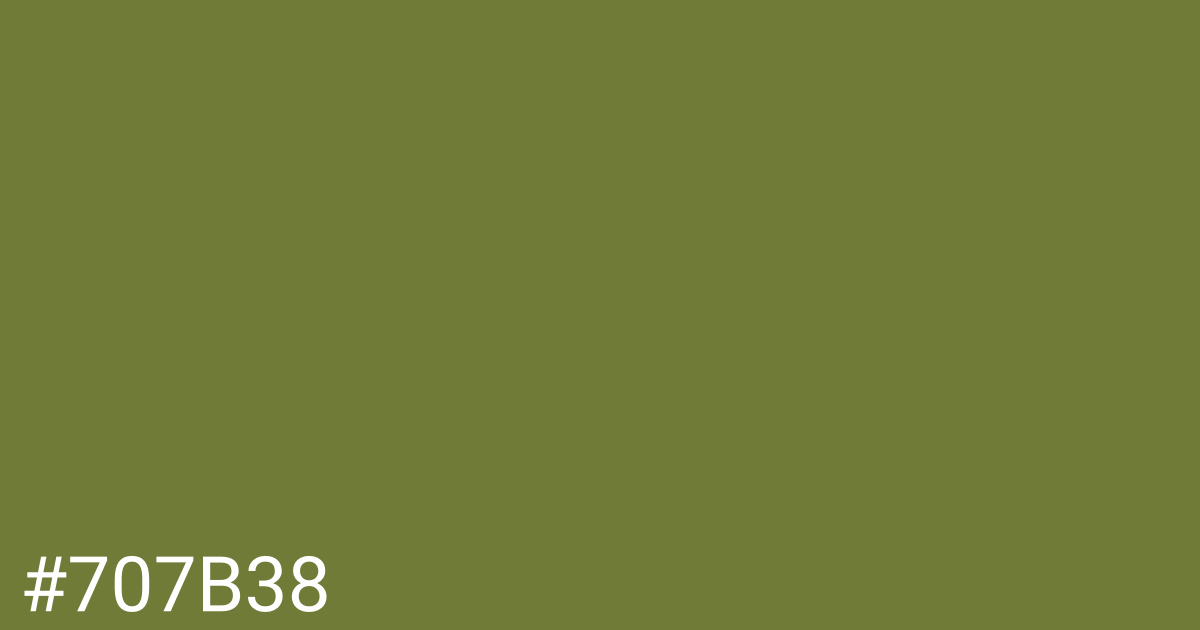 Hex color #707b38 graphic