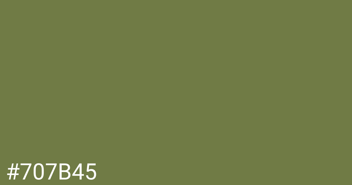 Hex color #707b45 graphic