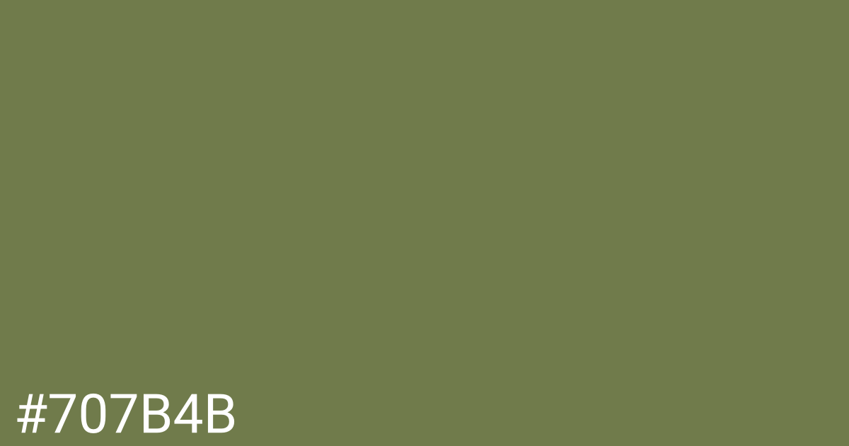 Hex color #707b4b graphic