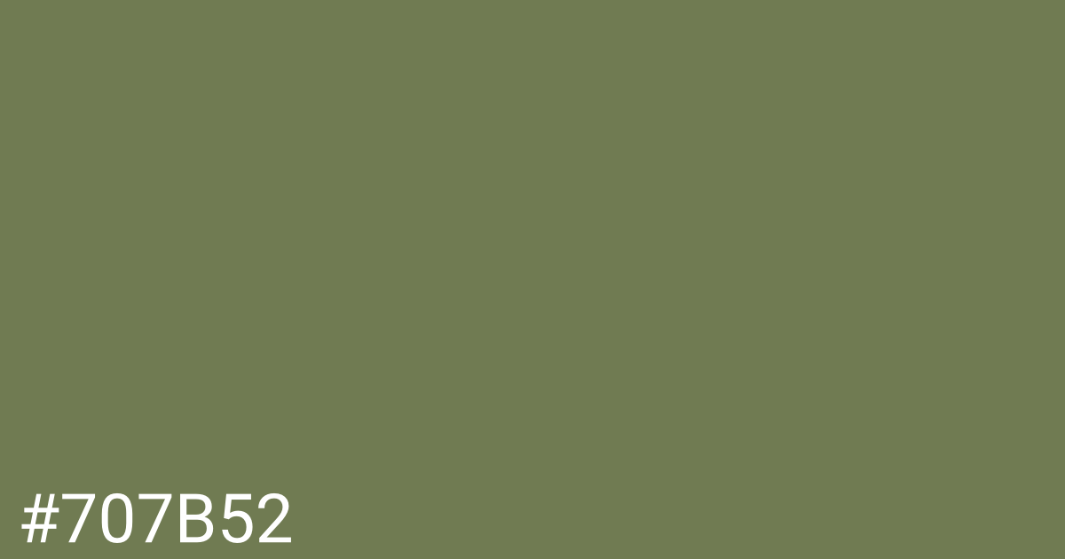 Hex color #707b52 graphic