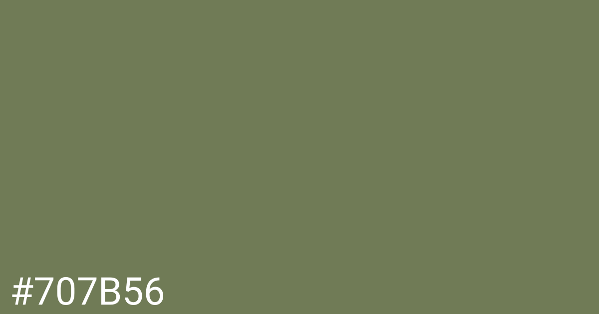 Hex color #707b56 graphic