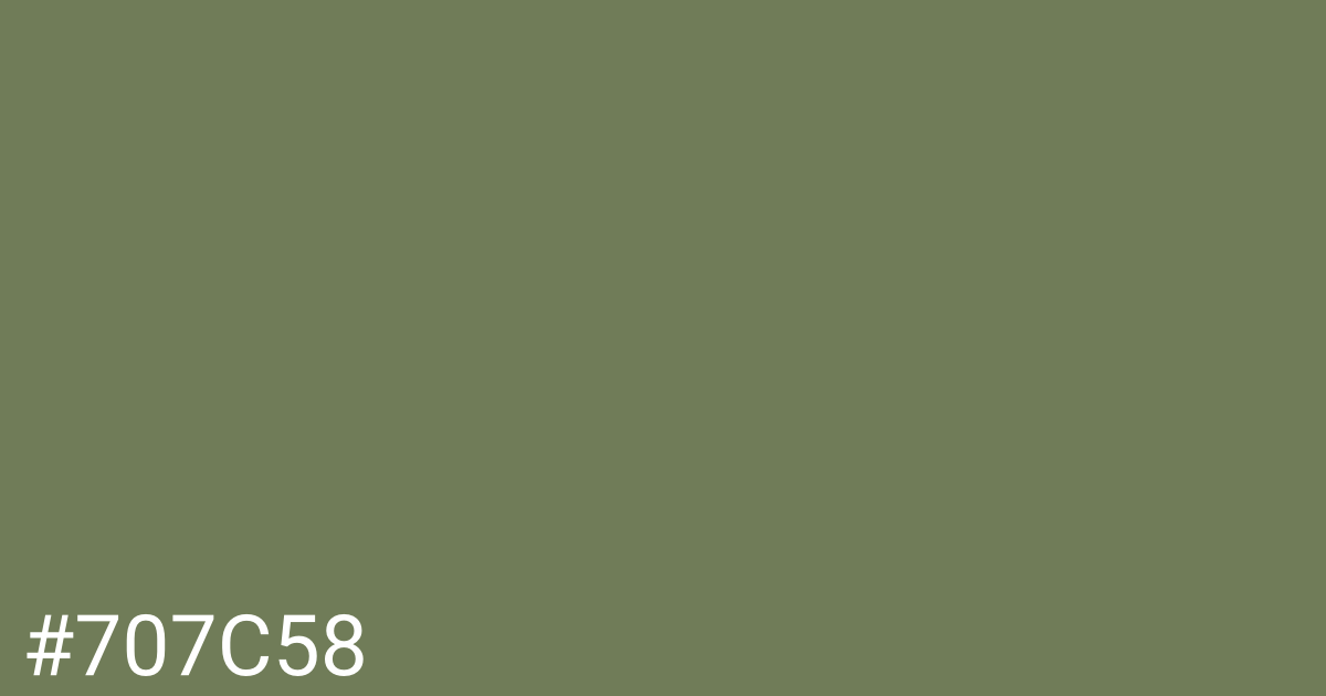 Hex color #707c58 graphic