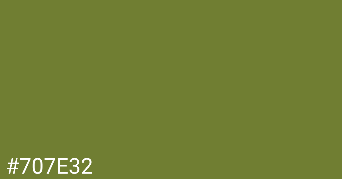 Hex color #707e32 graphic