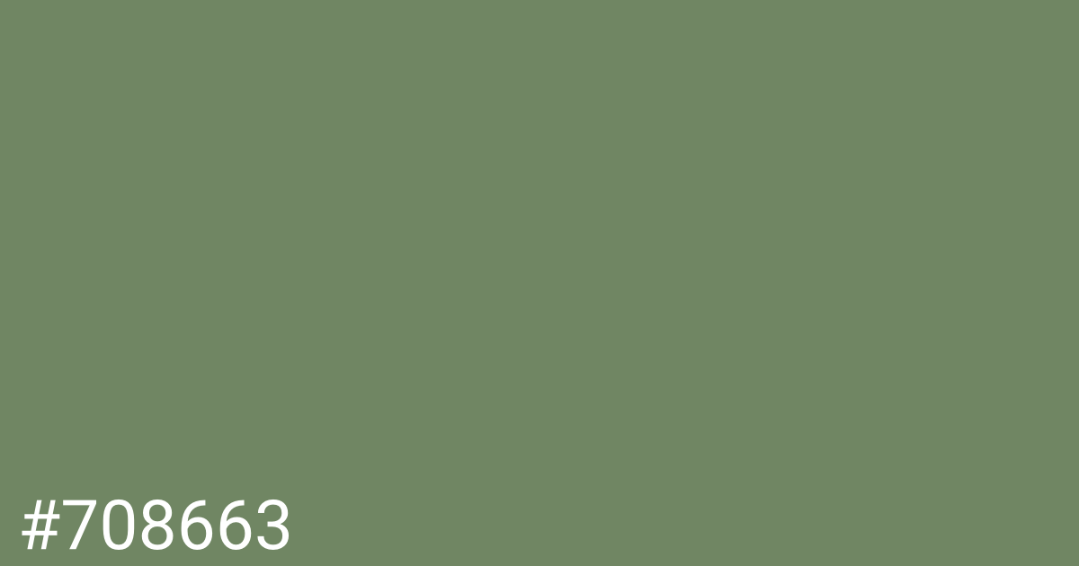 Hex color #708663 graphic