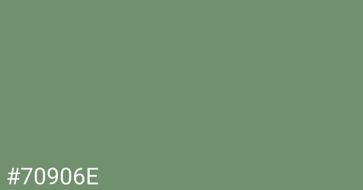 Hex color #70906e graphic