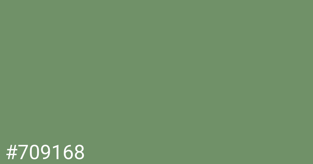 Hex color #709168 graphic