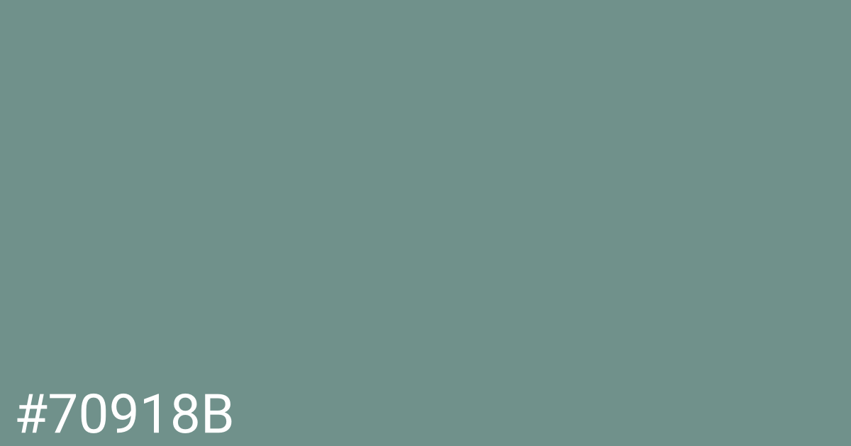 Hex color #70918b graphic