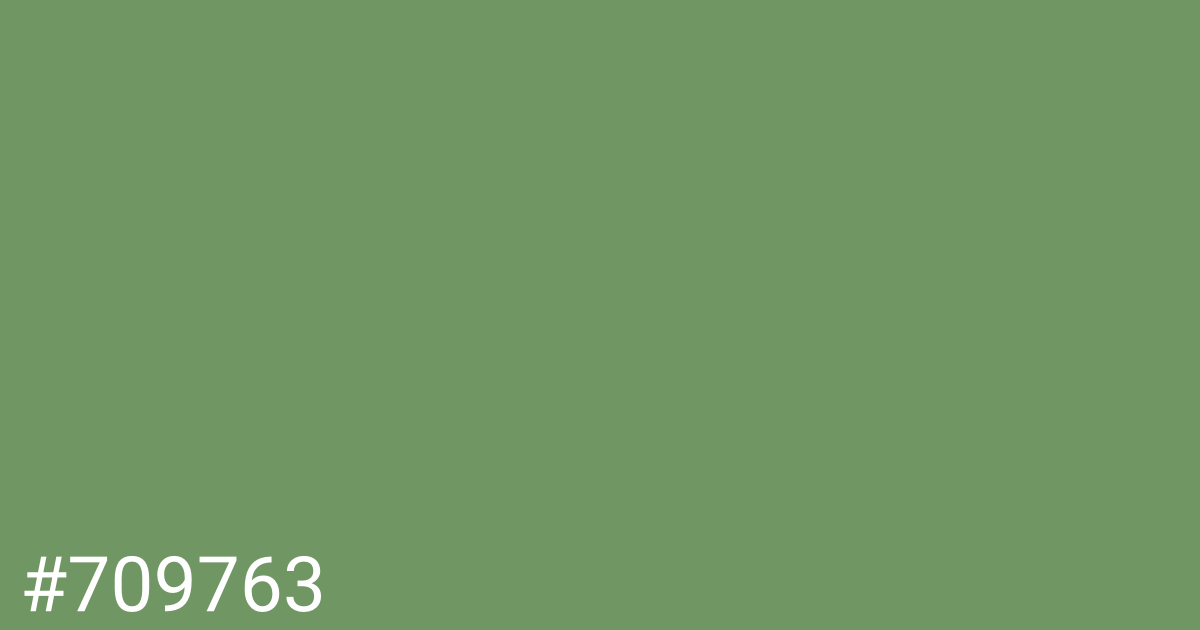 Hex color #709763 graphic