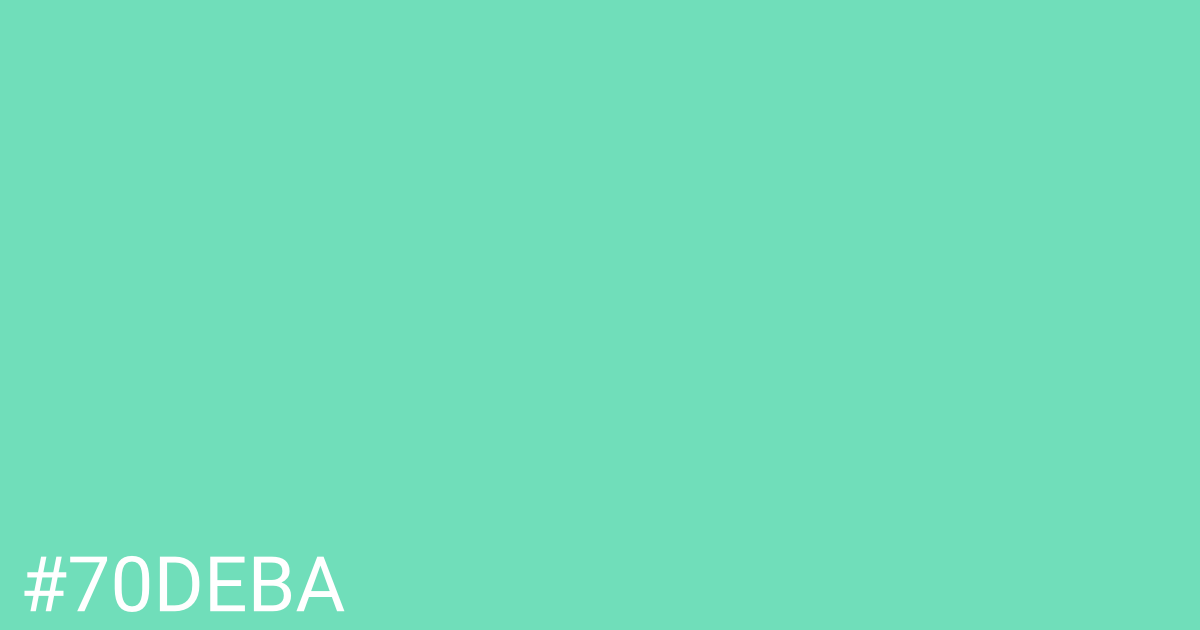 Hex color #70deba graphic