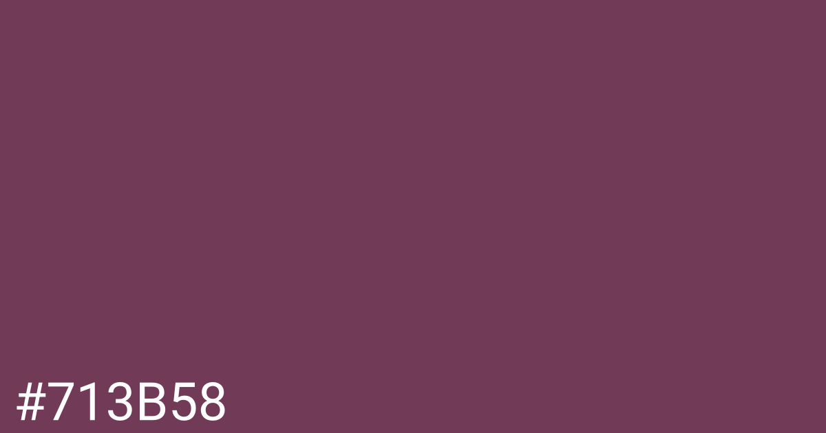 Hex color #713b58 graphic