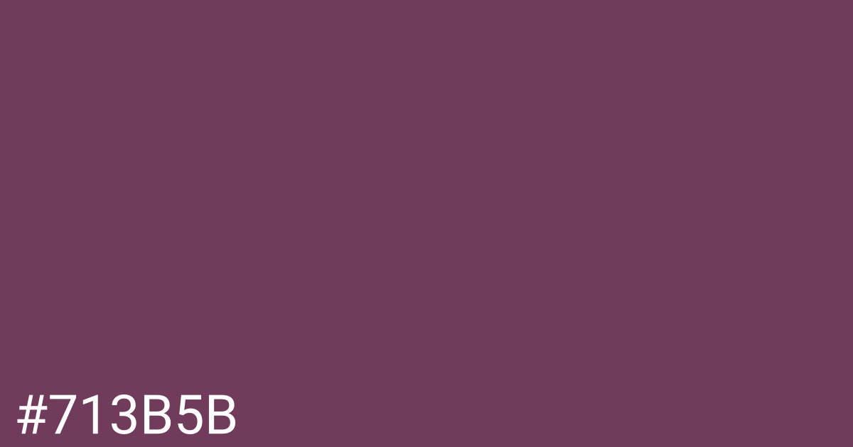 Hex color #713b5b graphic